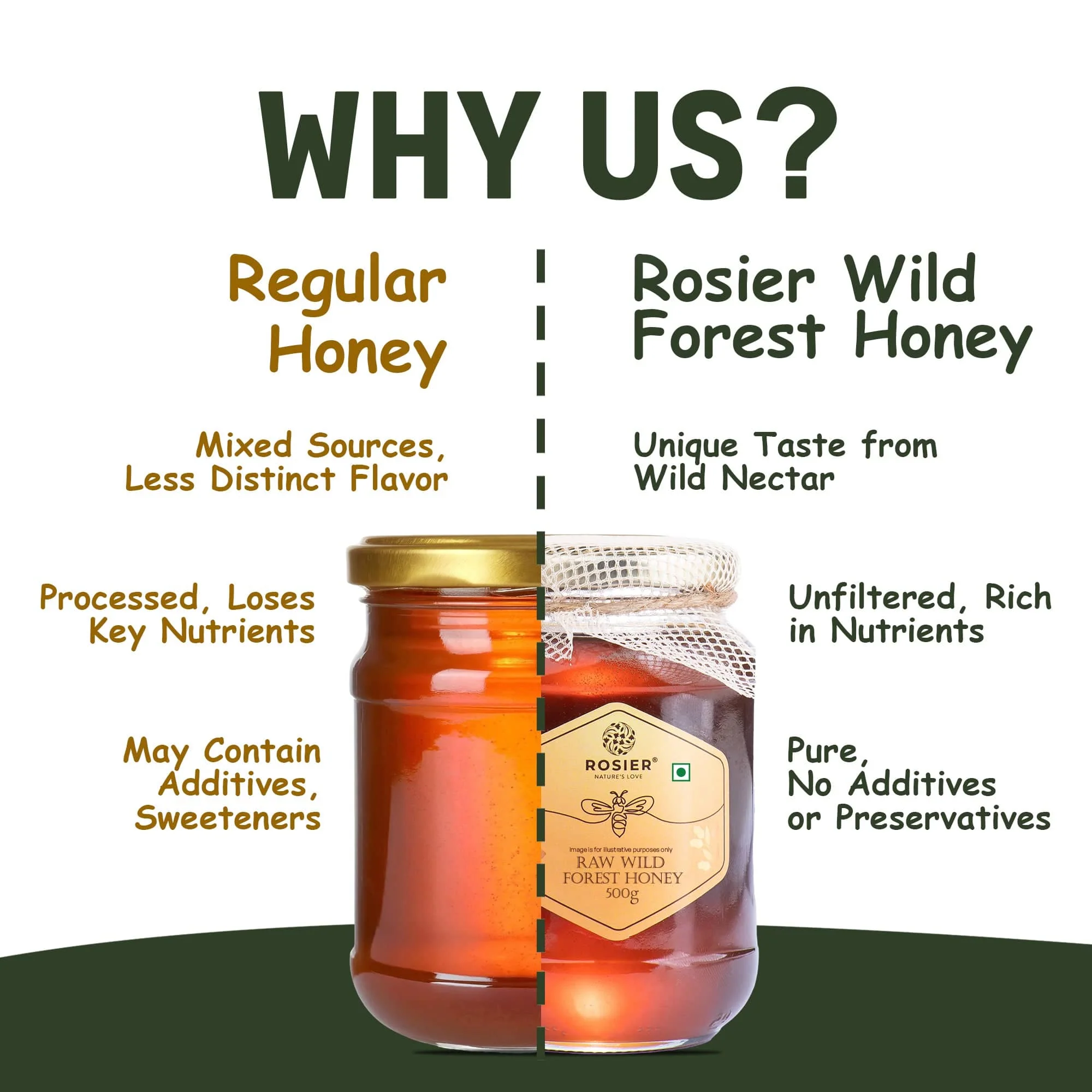 Wild Forest Honey - Image 3